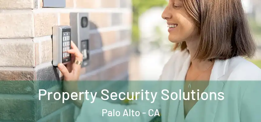  Property Security Solutions Palo Alto - CA